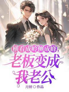 横看成岭侧成峰，老板变成我老公