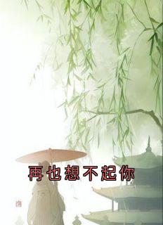 再也想不起你
