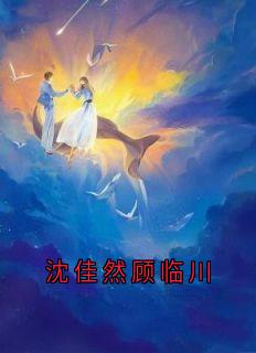 沈佳然顾临川