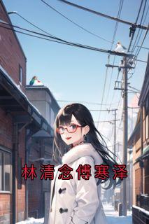 林清念傅寒泽