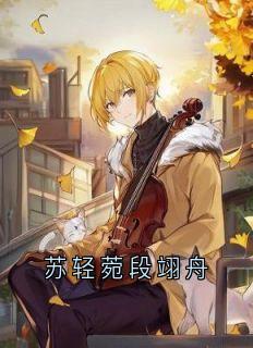 苏轻菀段翊舟