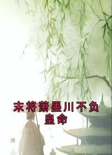 末将萧墨川不负皇命