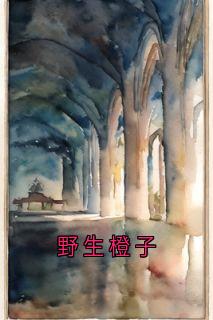 野生橙子