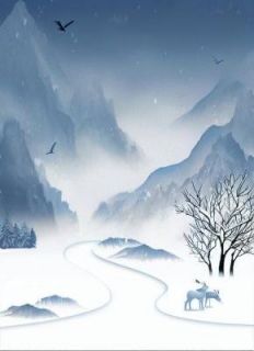 妹妹死后身为天葬师的我杀疯了