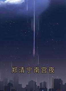 郑清宁南宫夜