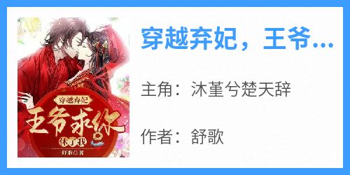 穿越弃妃，王爷求你休了我