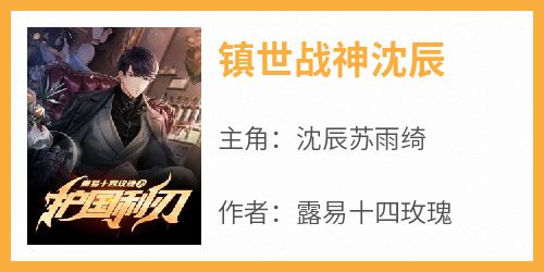 镇世战神沈辰