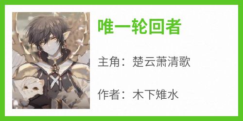 唯一轮回者