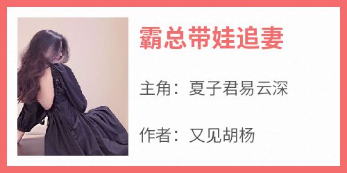 霸总带娃追妻