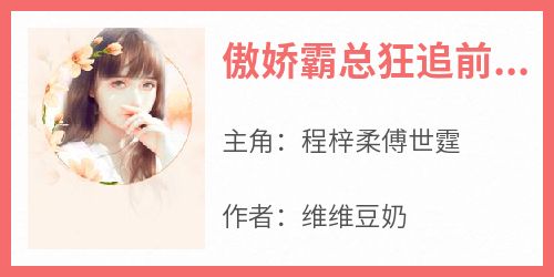 傲娇霸总狂追前妻