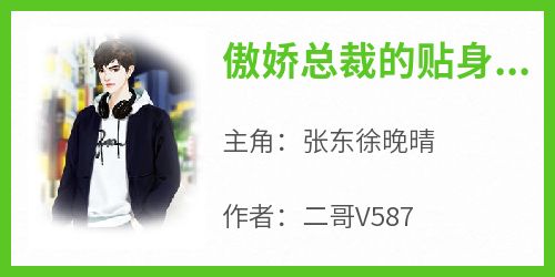傲娇总裁的贴身护卫