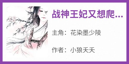 战神王妃又想爬墙