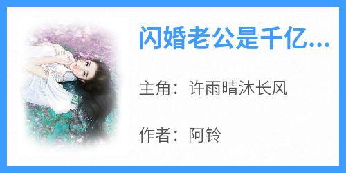 闪婚老公是千亿总裁