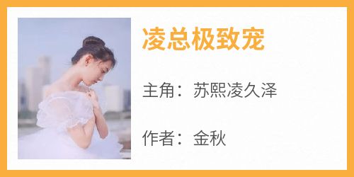 凌总极致宠