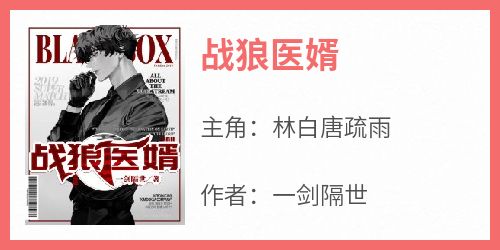 战狼医婿