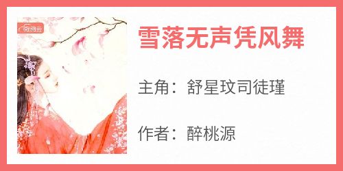 雪落无声凭风舞