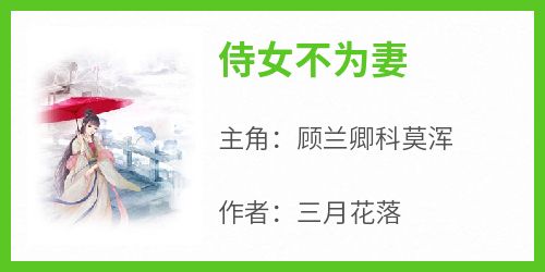 侍女不为妻