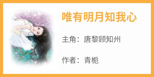 唯有明月知我心