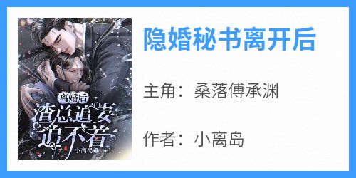 隐婚秘书离开后