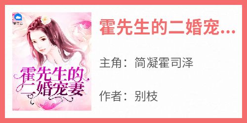 霍先生的二婚宠妻