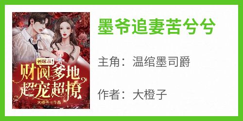 墨爷追妻苦兮兮
