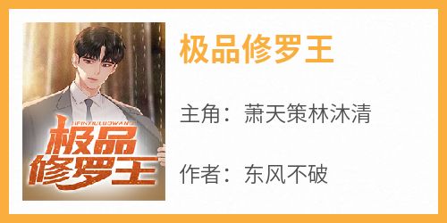 极品修罗王