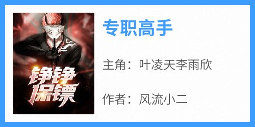 专职高手