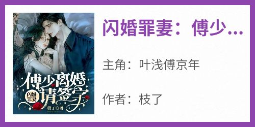 闪婚罪妻：傅少，离婚请签字