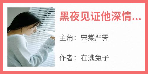黑夜见证他深情宋晓严辰北
