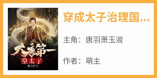 穿成太子治理国家