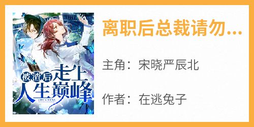 离职后总裁请勿扰