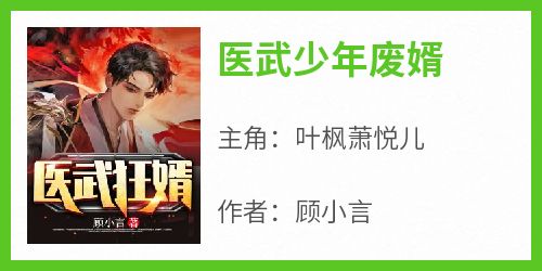 医武少年废婿