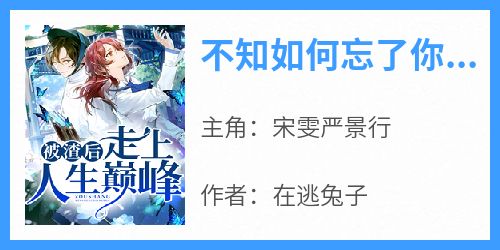 不知如何忘了你宋玥严云琛