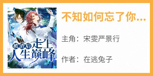 不知如何忘了你宋玥严云琛