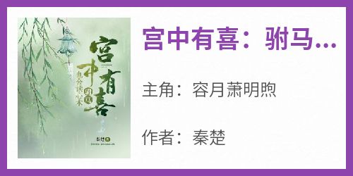 宫中有喜：驸马也会读心术