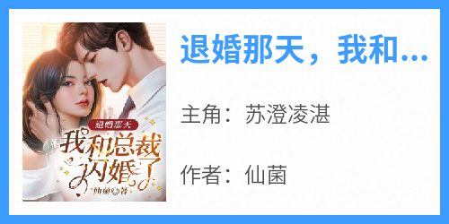 退婚那天，我和总裁闪婚了