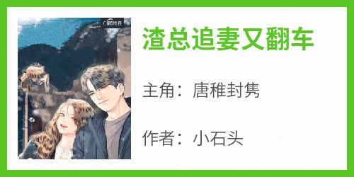 渣总追妻又翻车