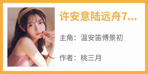 许安意陆远舟70年代