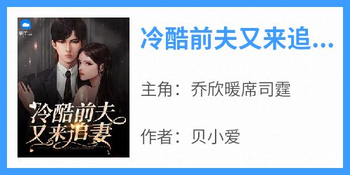 冷酷前夫又来追妻
