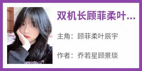 双机长顾菲柔叶辰宇