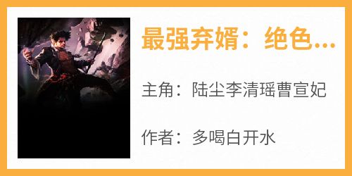 最强弃婿：绝色总裁悔哭了