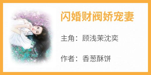 闪婚财阀娇宠妻