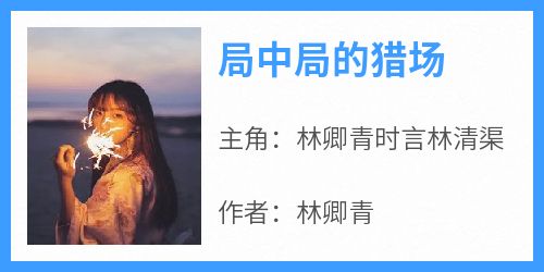 局中局的猎场