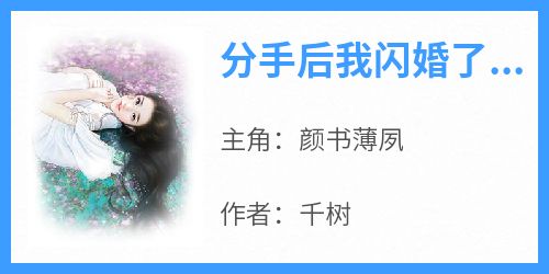 分手后我闪婚了首富