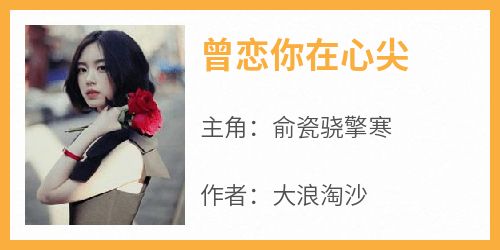 曾恋你在心尖