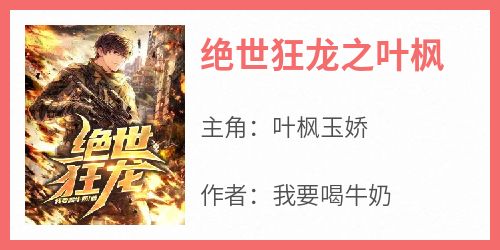 绝世狂龙之叶枫