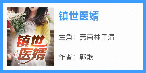 镇世医婿