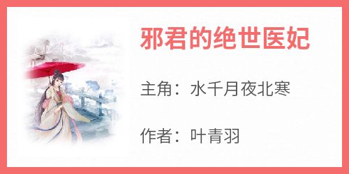 邪君的绝世医妃