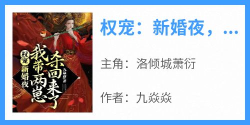 权宠：新婚夜，我带两崽杀回来了