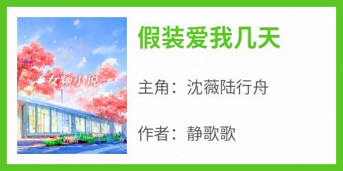 假装爱我几天